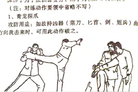 黑龙十八手图片