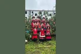 石榴极品会理石榴采摘开启：产量居八大产区之首 占全国种植面积26% 今年稳产75万吨图片