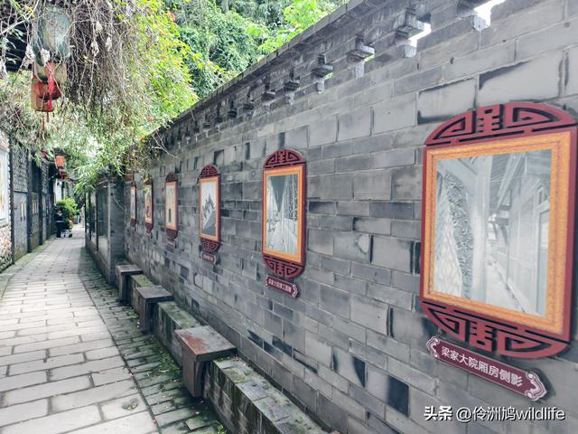 成都古镇（15）郫县唐昌古镇崇宁公园·大椿巷