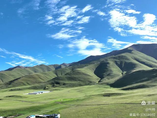 寄情青海湖 图文/叶桦