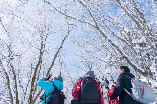 速约！黄山今明两天雾凇+雪景概率拉满，转发给想一起看雪的人~ | 皖美冬日 | 第十五届安徽国际文化旅游节