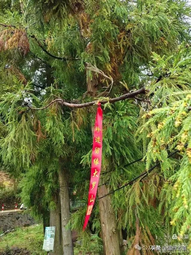 周末徒步去!这个有"温州版武功山"之称的名山,你可要去爬一次