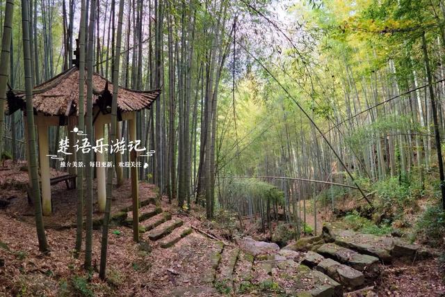 浙江宁波这两处银杏赏地比邻而居，又进入最佳观赏季，拍照很出片