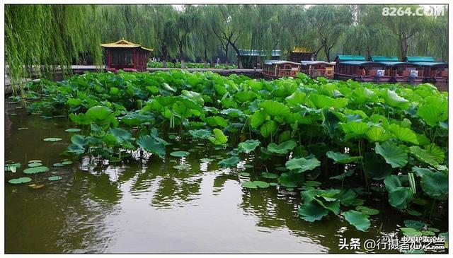 山东行游影记（12）—济南大明湖（一）
