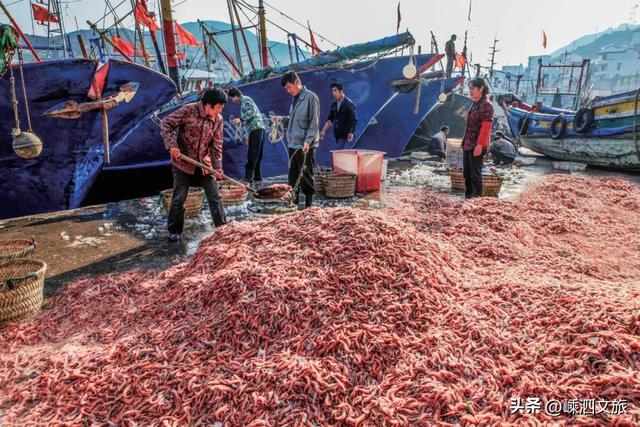 就在嵊山岛!多彩冬日,非拍不可了!
