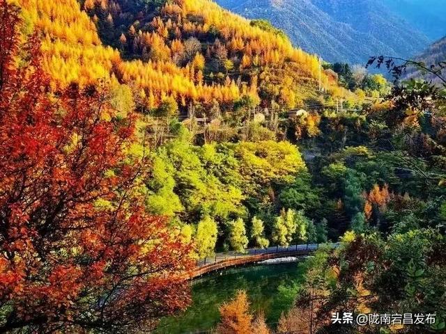 陇原赏秋韵，冬游官鹅沟