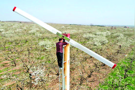 检修防霜机 应对倒春寒图片