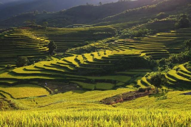 逃离内卷！来五指山开启治愈之旅