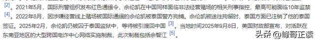 拔出萝卜带出泥！49岁赵薇近况被曝，原来圈内封杀只是冰山一角