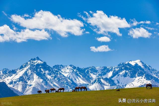新疆乌鲁木齐博物馆展示的，河南南阳将军张雄，有何背景和故事？