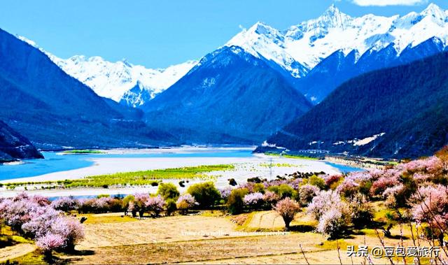 西藏林芝深度游：邂逅雪山桃花与森林的浪漫