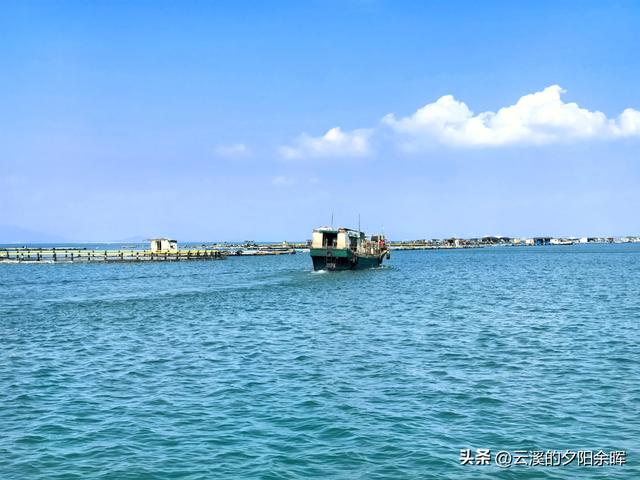 广东阳江海陵岛“渔家乐”体验	，章鱼独当一面