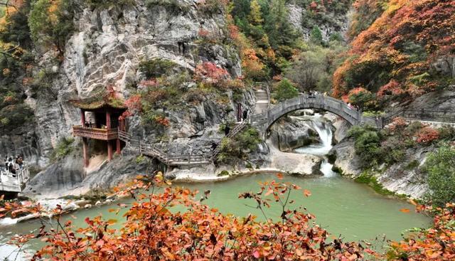 这才是秋天该有的样子~