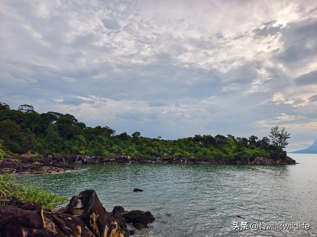 马来西亚(35)砂拉越州⑨峇哥国家公园徒步线路