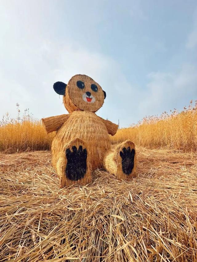 2025园博彩叶季 | 秋意渐入佳境，赏景乐游正当时！