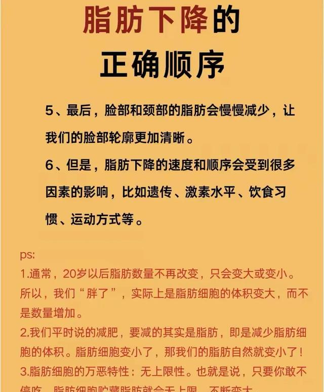 中年减脂建议：请你牢牢记住这体脂率下降的几点，能让你脂肪变少