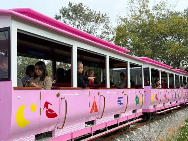 重阳洈水情，乐享山水间 | 多批中老年团队盛赞景区康乐团建之旅