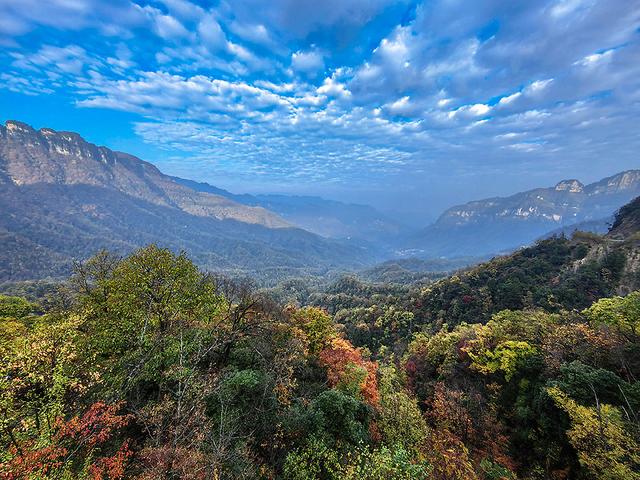2024深秋四川行19 神农架风景区2 华中屋脊的五彩秘境