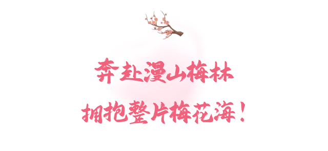 满屏梅花🤩不用怀疑！你期盼的春天提前来了！