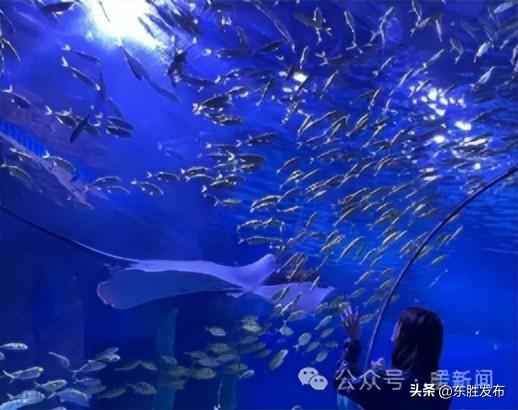 节日快乐！今明免费→