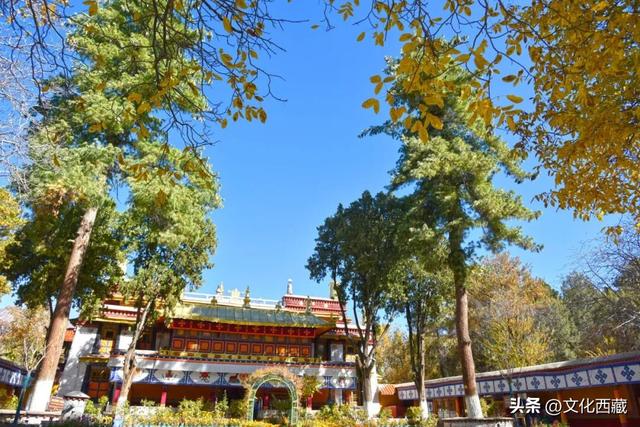 太美了！假如初冬去拉萨，请一定要来这里打卡！