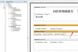 FastReport分二栏打印图片
