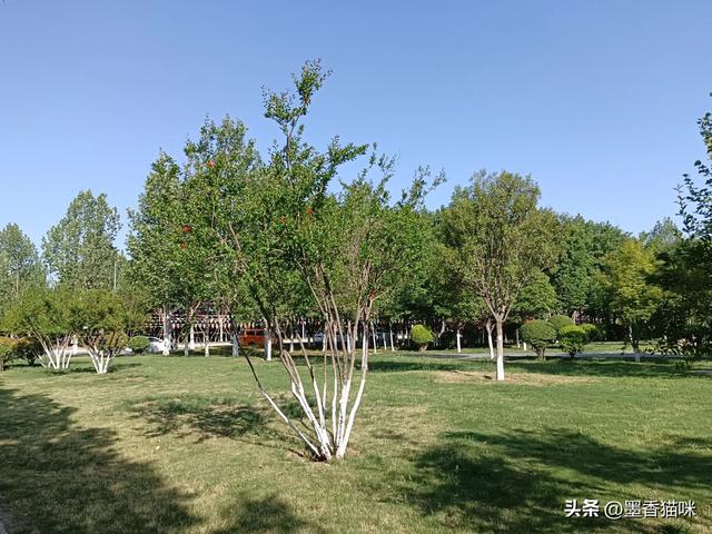 浐灞港务区半日游,顺路逛到临潼,然后坐火车回西安