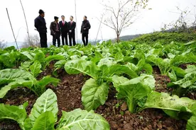 农民必看！土地承包新政落地，30年不变有玄机！这6大变化关系每家每户图片