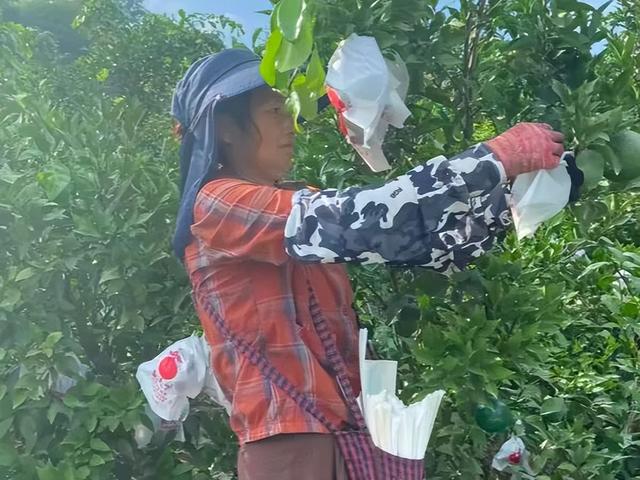 遵义“丰”景美如画~~~