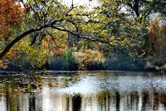 一键收藏!明光南部2025年秋景大赏