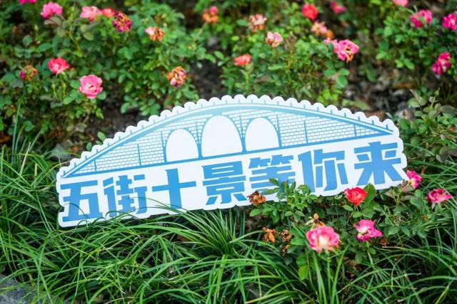 双节将至!运河文化艺术展演启幕
