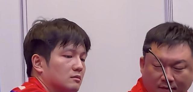 上海输了，樊振东没输！邓亚萍盛赞小胖统治力，赛后更是格局拉满