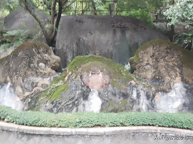我来夏门去南普通寺卸却“班味”装着“禅意”回烟火人间