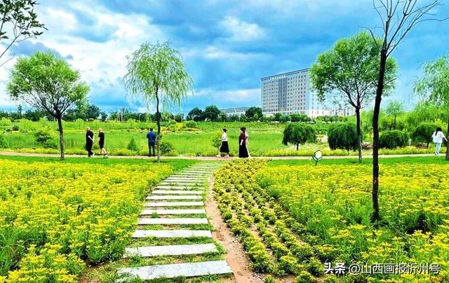 五一焕彩启新程 农文旅融绘华章——河曲县假日农文旅市场持续升温