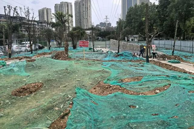 初冬色彩+N!街角美得藏不住→