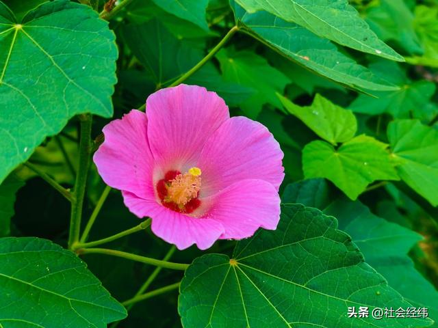 每日一景|幽湖清溪·琵琶湖公园
