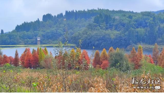 山水入画秋意来