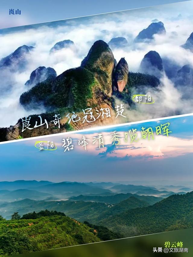 赛场外，两个“阳哥”各有乾坤