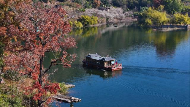 永泰：李梅之乡 冬来飞“雪”