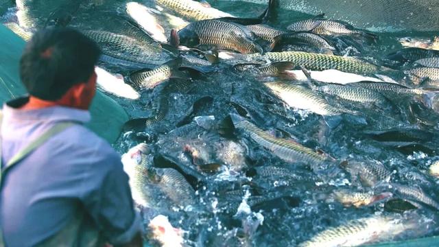 Emo救星！东平湖开启初冬镜面模式，带来满格治愈力~