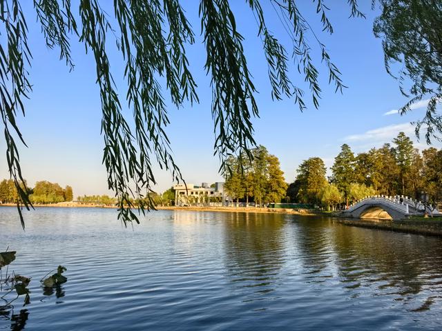 2025年赴武汉疗养记：历史与诗意的邂逅