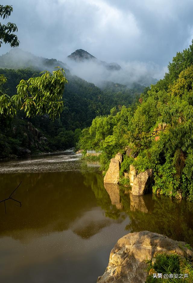 泰山东御道：看林深叶茂 听涛声隐隐
