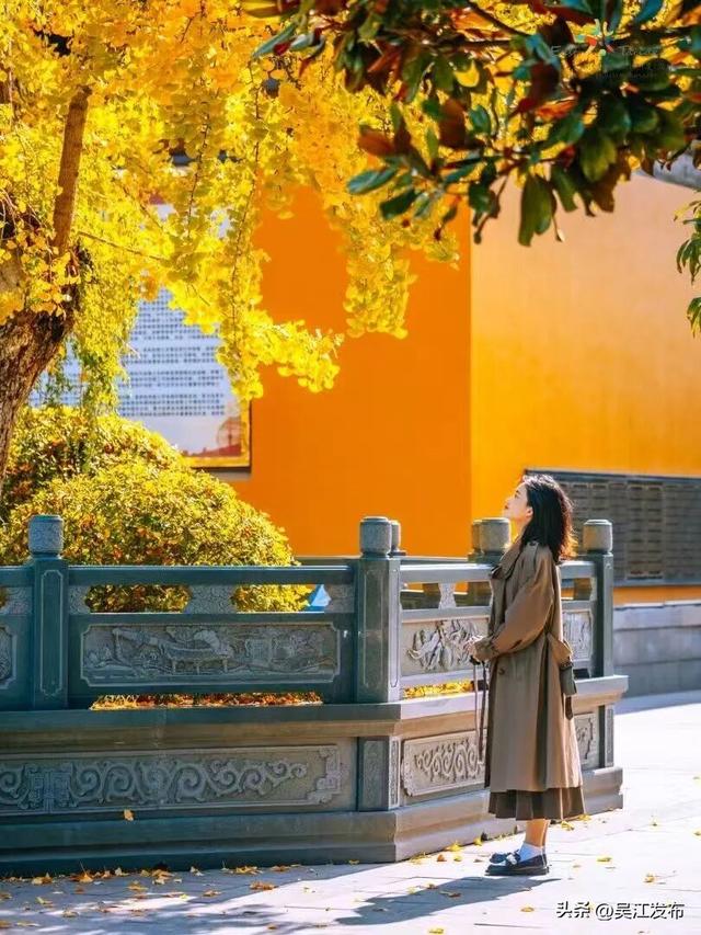 周末去打卡丨太好拍~东太湖绝美机位，“框框”出大片！