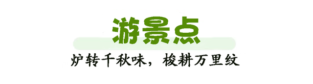 暑假过半还没玩？济南这个神仙地儿现在去刚刚好！