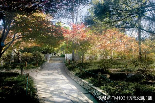 公园景区秋色图鉴,这几处必打卡