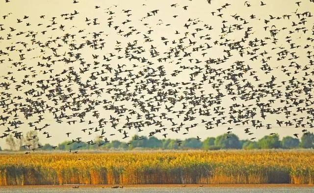 冬日畅游齐鲁，相约乐GO山东！