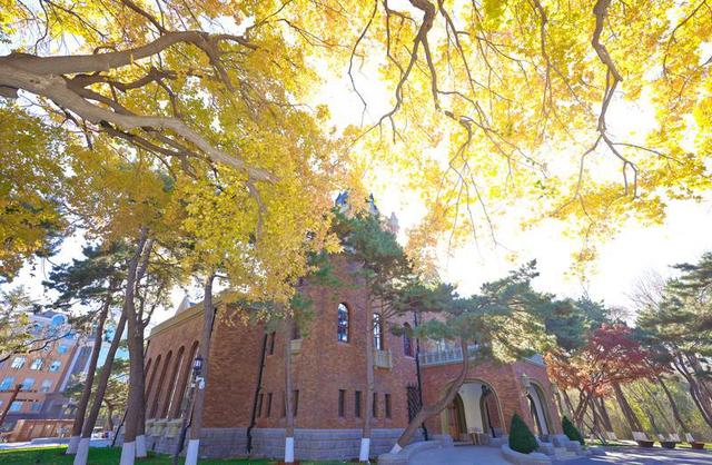 百年鎏金一树秋 | 在松苑咖啡馆，与长春最诗意的五角枫隔窗对望