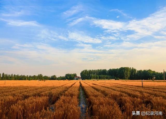 柘城:中国钻石之都辣椒之都全国文明城市