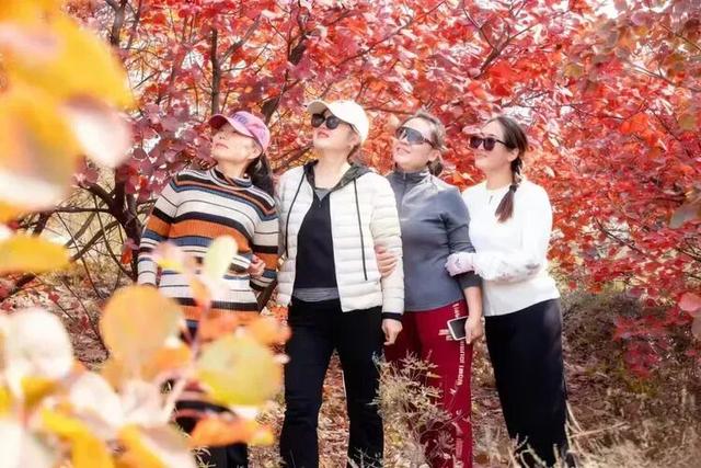 @枣庄人，是时候去这些地方赏红叶啦！