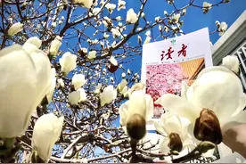 原来，这就叫“精神长相”图片